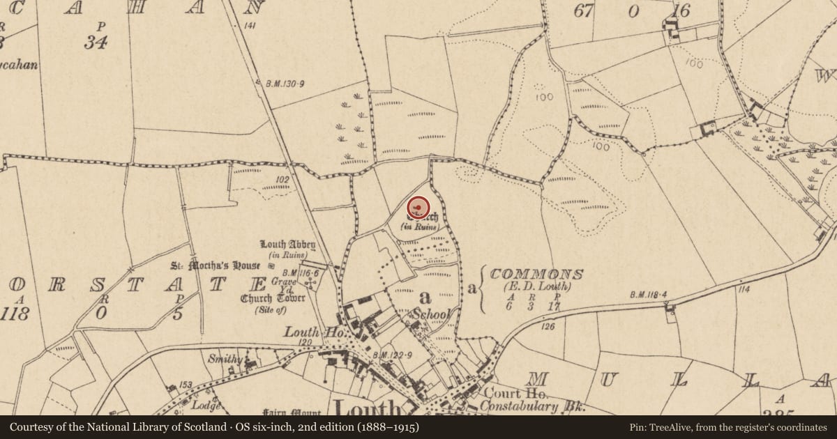 Ordnance Survey six-inch map, 2nd edition (1888–1915) covering the location of Church, Richard Taaffe'S Holding, County Louth, with a pin at the register's coordinates