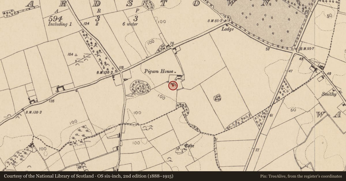 Ordnance Survey six-inch map, 2nd edition (1888–1915) covering the location of Castle - tower house, Allardstown, County Louth, with a pin at the register's coordinates