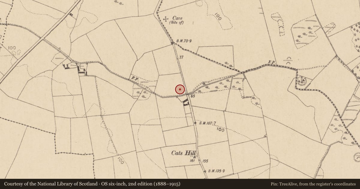 Ordnance Survey six-inch map, 2nd edition (1888–1915) covering the location of Enclosure, Kilcroney, County Louth, with a pin at the register's coordinates