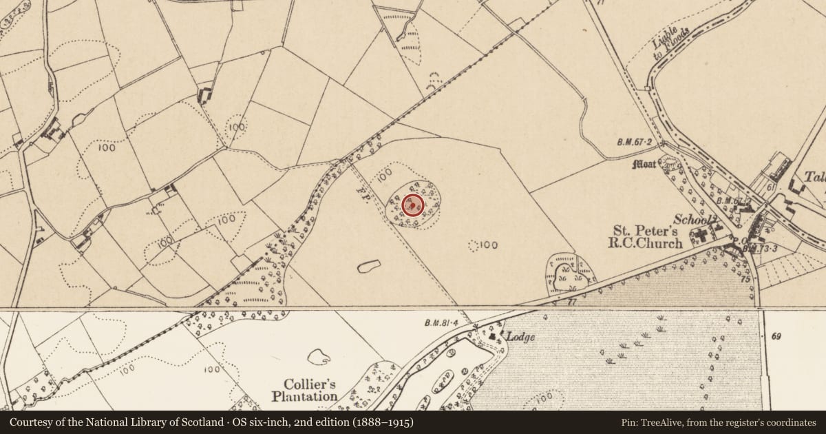 Ordnance Survey six-inch map, 2nd edition (1888–1915) covering the location of Enclosure, Louth Hall, County Louth, with a pin at the register's coordinates