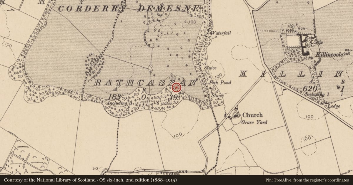 Ordnance Survey six-inch map, 2nd edition (1888–1915) covering the location of Enclosure, Rathcassan, County Louth, with a pin at the register's coordinates