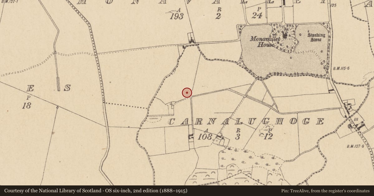 Ordnance Survey six-inch map, 2nd edition (1888–1915) covering the location of Enclosure, Carnalughoge, County Louth, with a pin at the register's coordinates