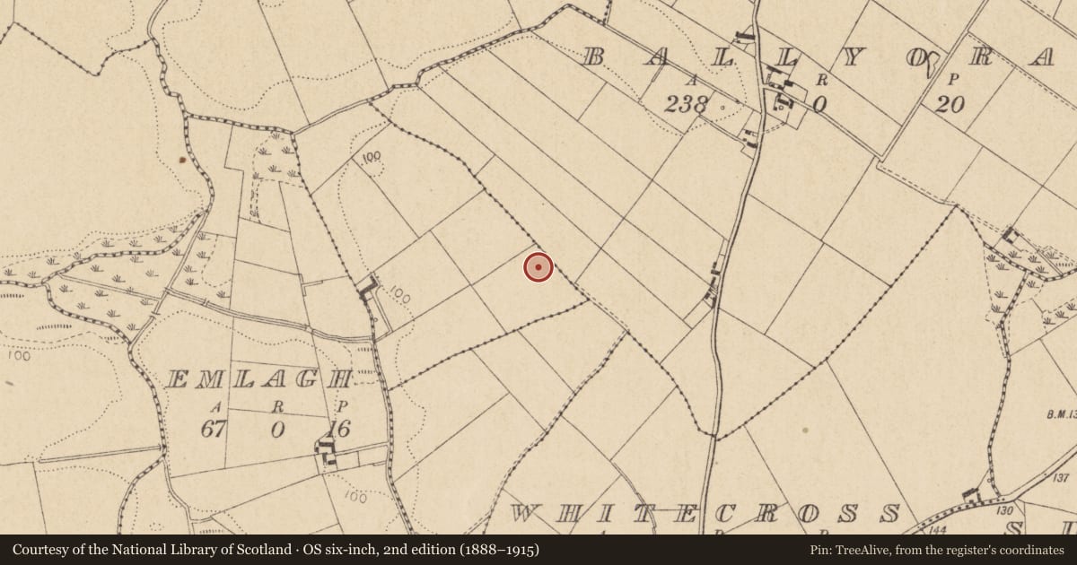Ordnance Survey six-inch map, 2nd edition (1888–1915) covering the location of Enclosure, Coolcreedan, County Louth, with a pin at the register's coordinates