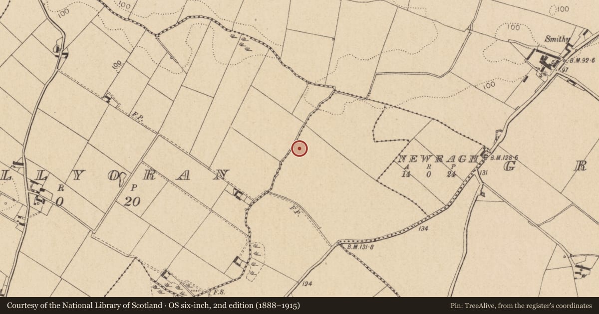 Ordnance Survey six-inch map, 2nd edition (1888–1915) covering the location of Ring-ditch, Summerhill, County Louth, with a pin at the register's coordinates