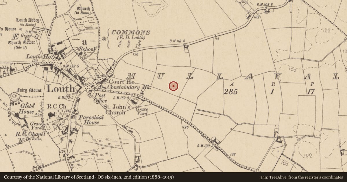 Ordnance Survey six-inch map, 2nd edition (1888–1915) covering the location of Excavation - miscellaneous, Mullavally, County Louth, with a pin at the register's coordinates
