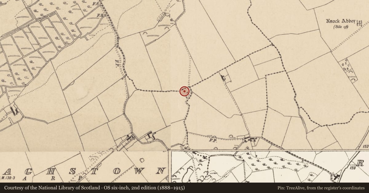 Ordnance Survey six-inch map, 2nd edition (1888–1915) covering the location of Enclosure, Nicholastown, Reaghstown, County Louth, with a pin at the register's coordinates