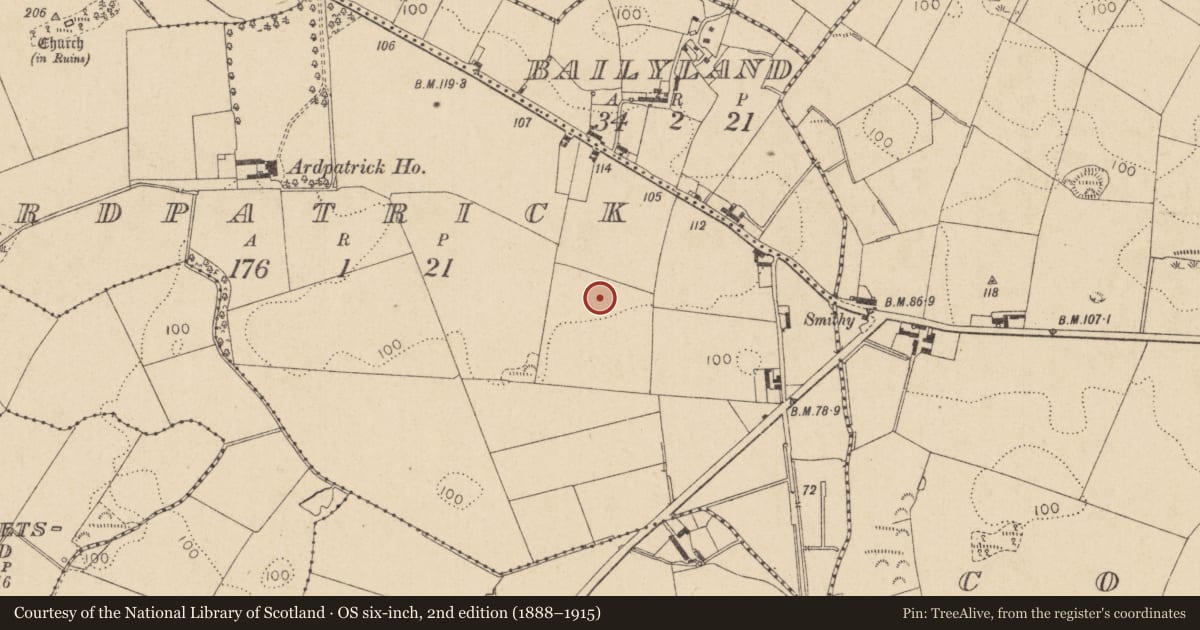 Ordnance Survey six-inch map, 2nd edition (1888–1915) covering the location of Ringfort - rath, Ardpatrick, County Louth, with a pin at the register's coordinates