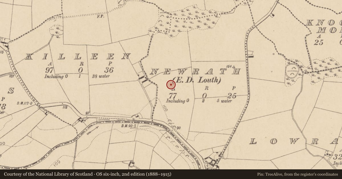 Ordnance Survey six-inch map, 2nd edition (1888–1915) covering the location of Enclosure, Newrath (Louth By., Louth Par.), County Louth, with a pin at the register's coordinates