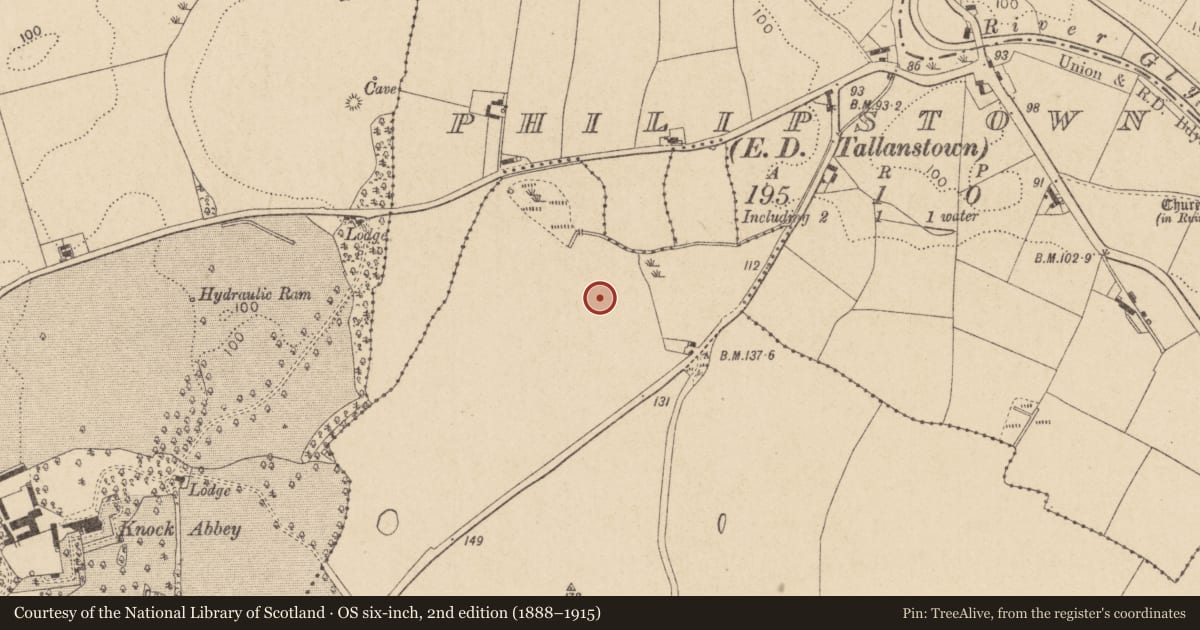 Ordnance Survey six-inch map, 2nd edition (1888–1915) covering the location of Enclosure, Rathneestin, County Louth, with a pin at the register's coordinates