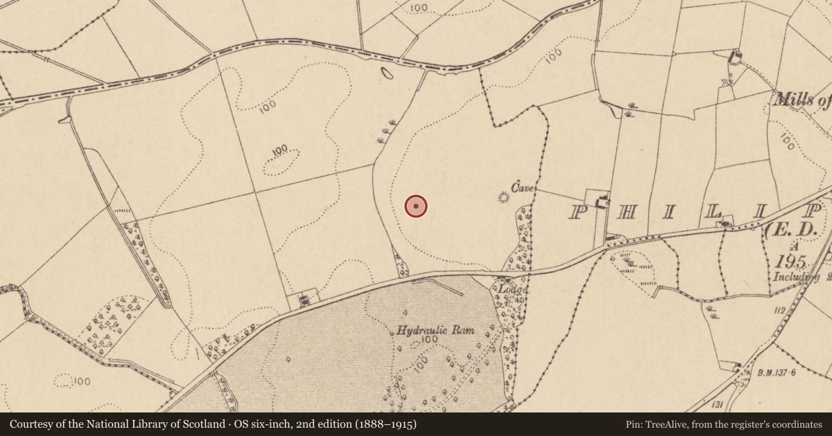 Ordnance Survey six-inch map, 2nd edition (1888–1915) covering the location of Enclosure, Thomastown (Ardee By., Philipstown Par.), County Louth, with a pin at the register's coordinates