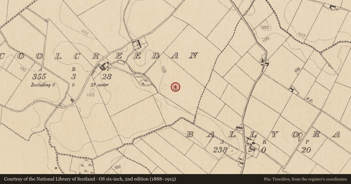 Ordnance Survey six-inch map, 2nd edition (1888–1915) covering the location of Enclosure, Coolcreedan, County Louth, with a pin at the register's coordinates