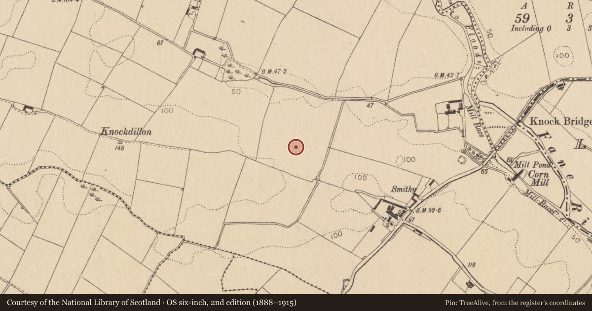 Ordnance Survey six-inch map, 2nd edition (1888–1915) covering the location of Ring-ditch, Grange, County Louth, with a pin at the register's coordinates