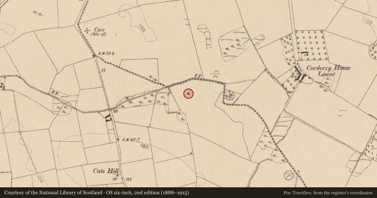 Ordnance Survey six-inch map, 2nd edition (1888–1915) covering the location of Ring-ditch, Kilcroney, County Louth, with a pin at the register's coordinates