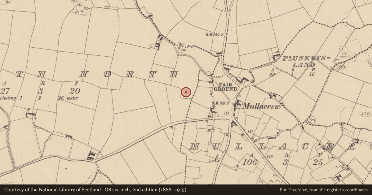 Ordnance Survey six-inch map, 2nd edition (1888–1915) covering the location of Enclosure, Lowrath North, County Louth, with a pin at the register's coordinates
