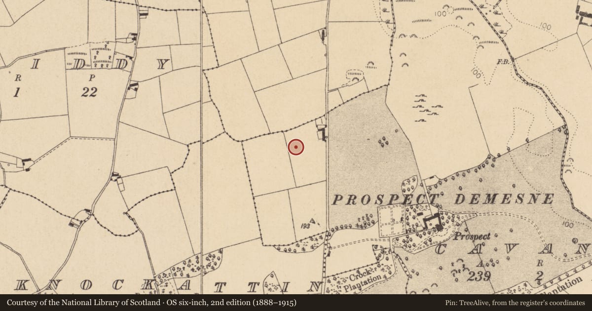 Ordnance Survey six-inch map, 2nd edition (1888–1915) covering the location of Enclosure, Cavan (Dundalk Upr by, County Louth, with a pin at the register's coordinates