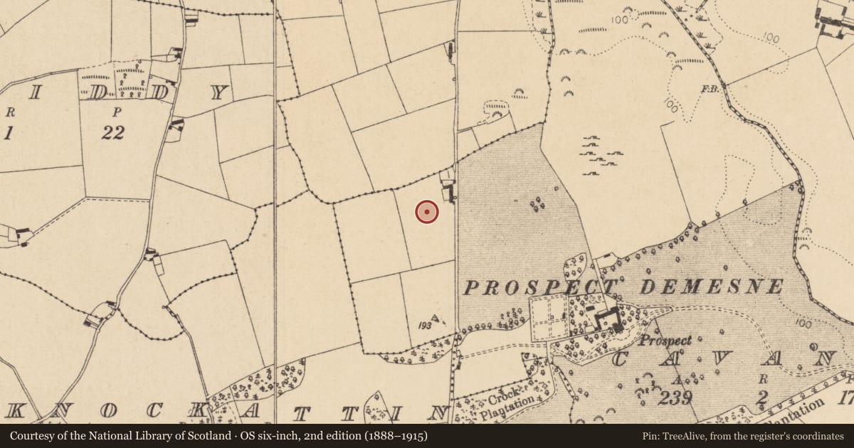 Ordnance Survey six-inch map, 2nd edition (1888–1915) covering the location of Enclosure, Cavan (Dundalk Upr by, County Louth, with a pin at the register's coordinates