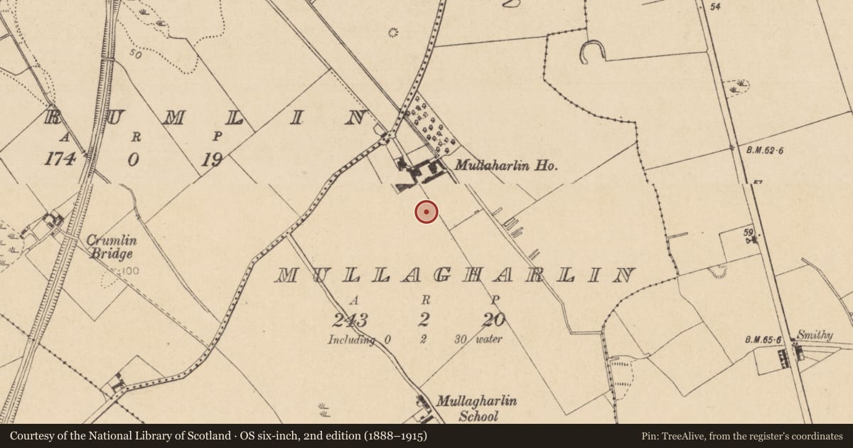 Ordnance Survey six-inch map, 2nd edition (1888–1915) covering the location of Souterrain, Mullagharlin, County Louth, with a pin at the register's coordinates