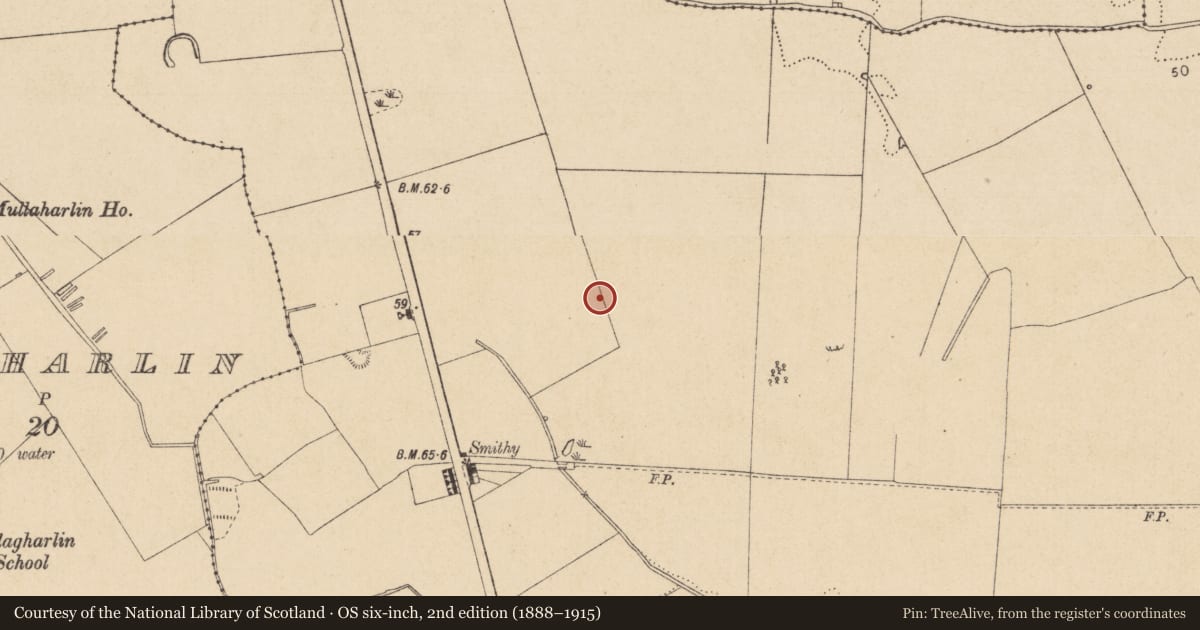 Ordnance Survey six-inch map, 2nd edition (1888–1915) covering the location of Souterrain, Haggardstown, County Louth, with a pin at the register's coordinates