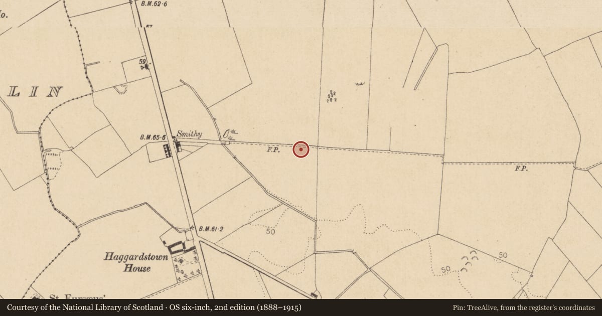 Ordnance Survey six-inch map, 2nd edition (1888–1915) covering the location of Enclosure, Haggardstown, County Louth, with a pin at the register's coordinates