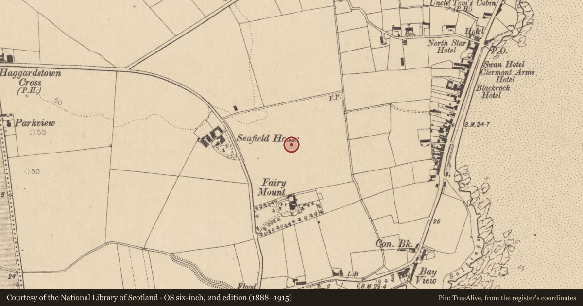 Ordnance Survey six-inch map, 2nd edition (1888–1915) covering the location of Souterrain, Haggardstown, County Louth, with a pin at the register's coordinates