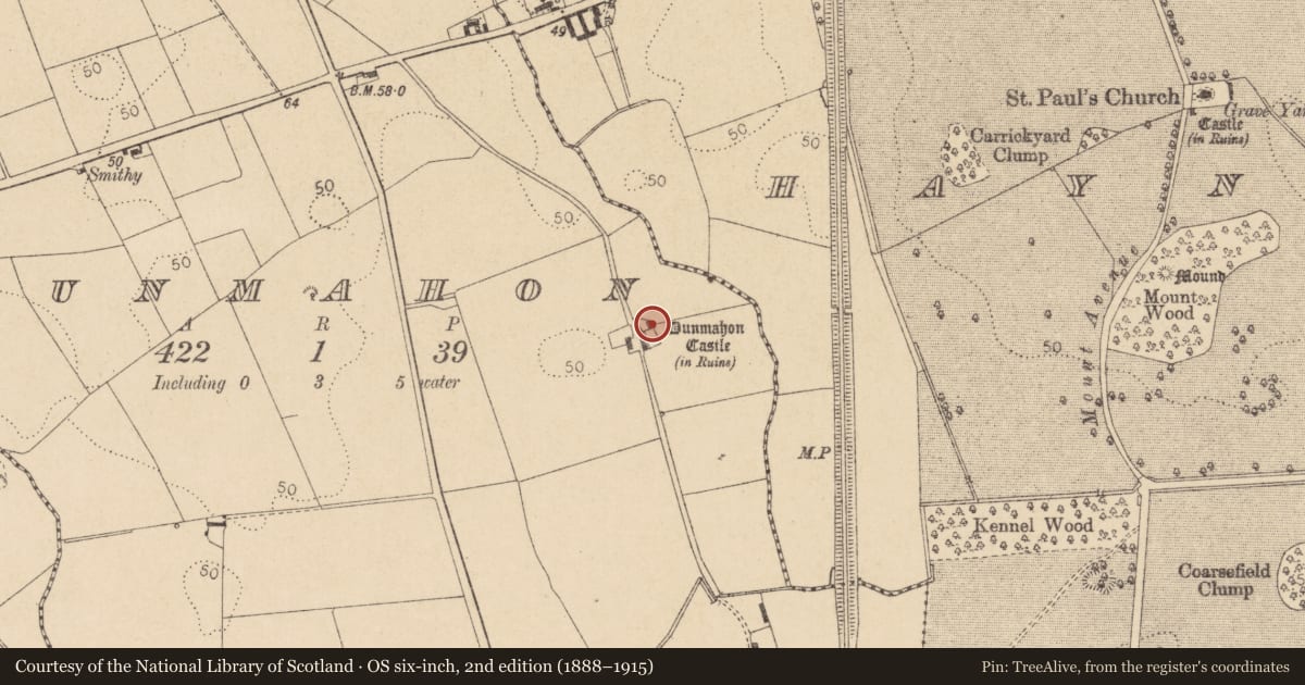 Ordnance Survey six-inch map, 2nd edition (1888–1915) covering the location of Castle - tower house, Dunmahon, County Louth, with a pin at the register's coordinates
