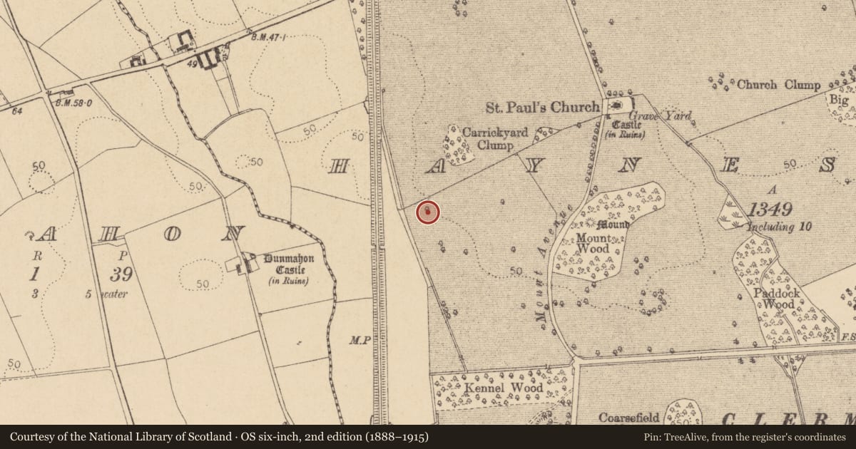 Ordnance Survey six-inch map, 2nd edition (1888–1915) covering the location of Souterrain, Haynestown, County Louth, with a pin at the register's coordinates
