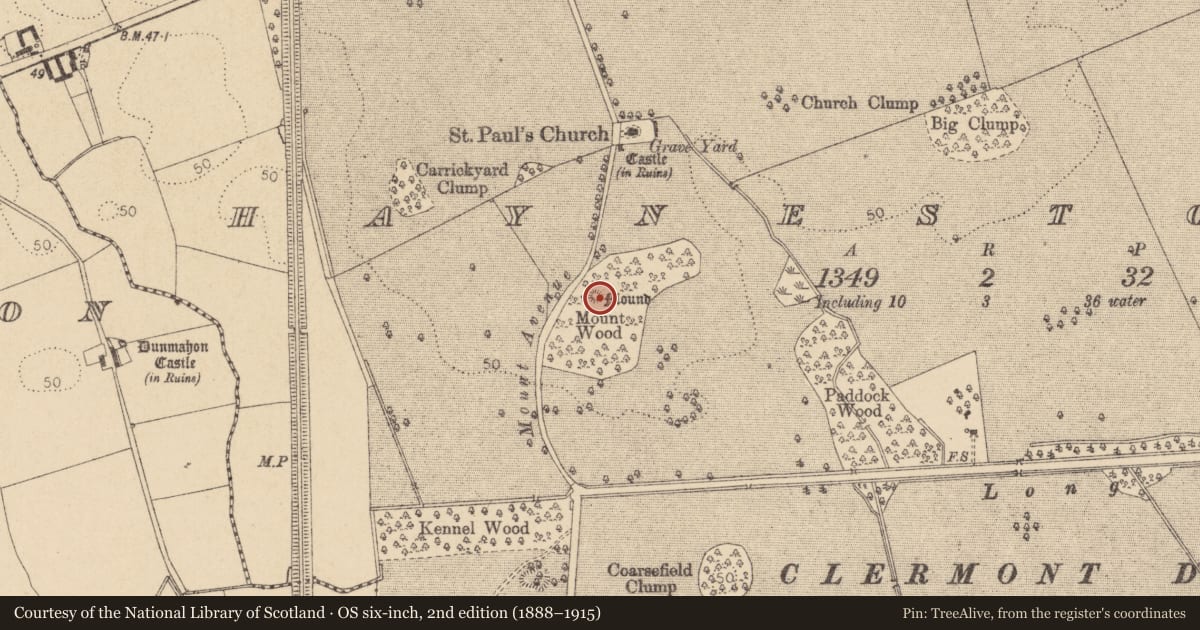 Ordnance Survey six-inch map, 2nd edition (1888–1915) covering the location of Castle - motte and bailey, Haynestown, County Louth, with a pin at the register's coordinates