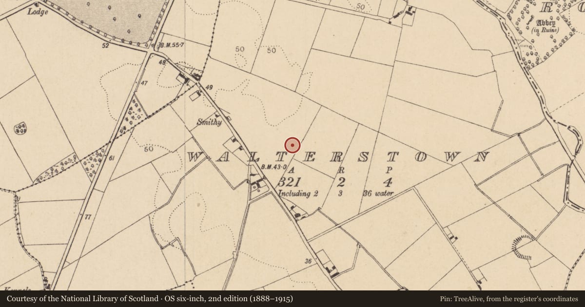 Ordnance Survey six-inch map, 2nd edition (1888–1915) covering the location of Enclosure, Walterstown, County Louth, with a pin at the register's coordinates