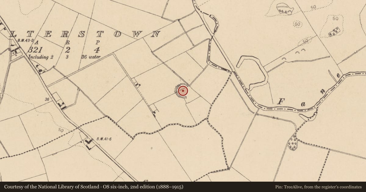Ordnance Survey six-inch map, 2nd edition (1888–1915) covering the location of Ringfort - rath, Walterstown, County Louth, with a pin at the register's coordinates