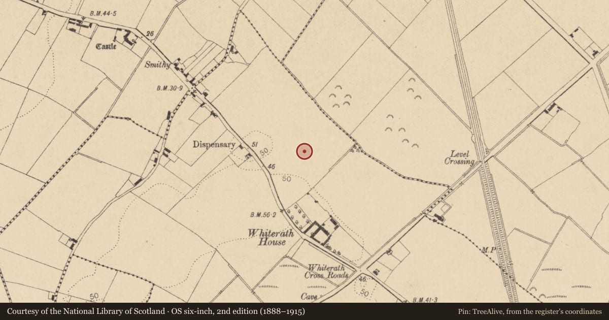 Ordnance Survey six-inch map, 2nd edition (1888–1915) covering the location of Enclosure, Whiterath, County Louth, with a pin at the register's coordinates