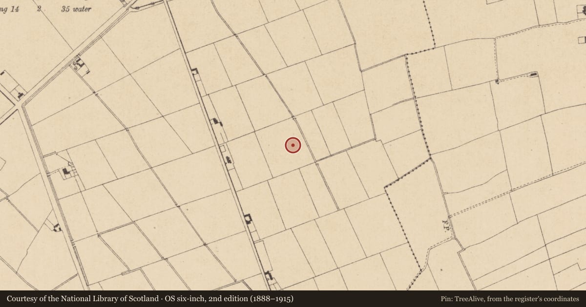 Ordnance Survey six-inch map, 2nd edition (1888–1915) covering the location of Field system, Commons (Dromiskin Par.), County Louth, with a pin at the register's coordinates
