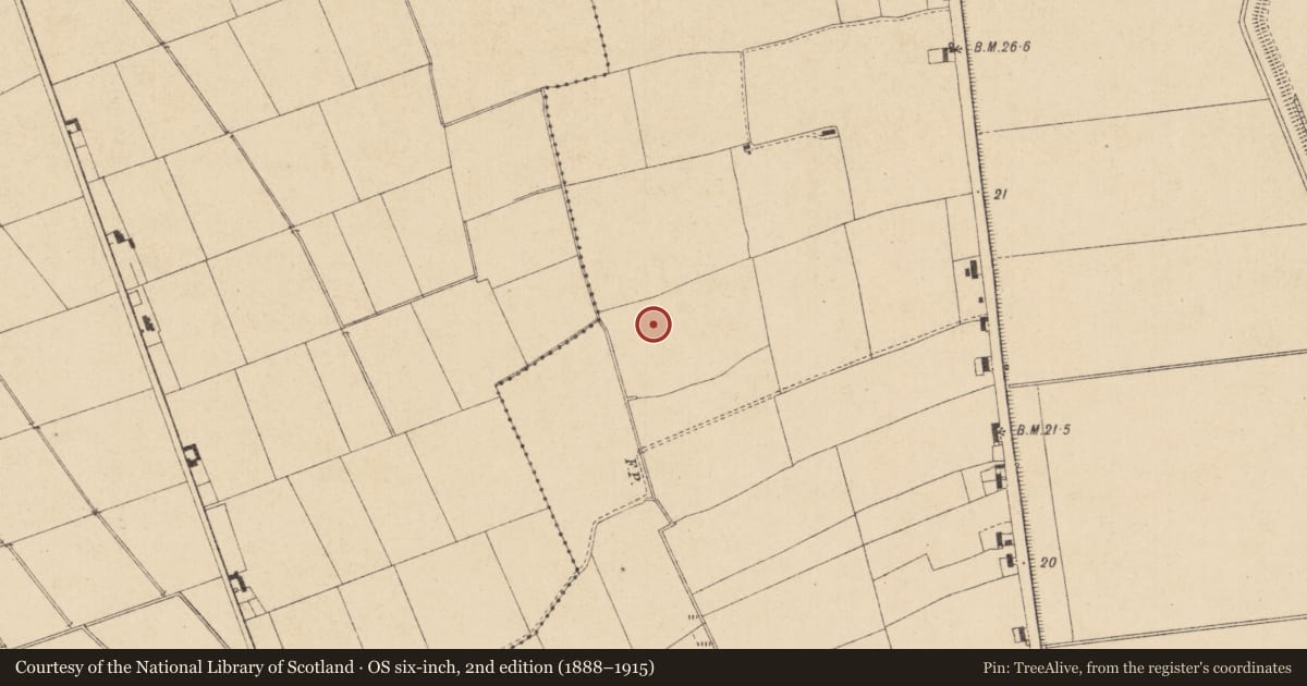 Ordnance Survey six-inch map, 2nd edition (1888–1915) covering the location of Enclosure, Mooretown, County Louth, with a pin at the register's coordinates
