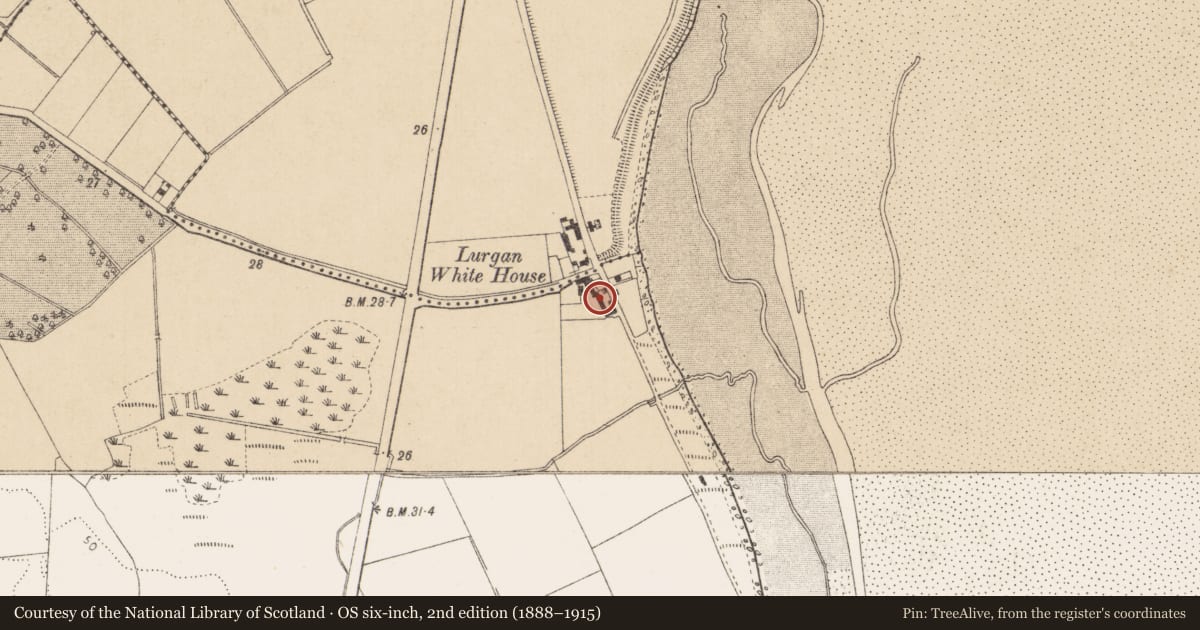 Ordnance Survey six-inch map, 2nd edition (1888–1915) covering the location of Ecclesiastical site, Dromiskin, County Louth, with a pin at the register's coordinates