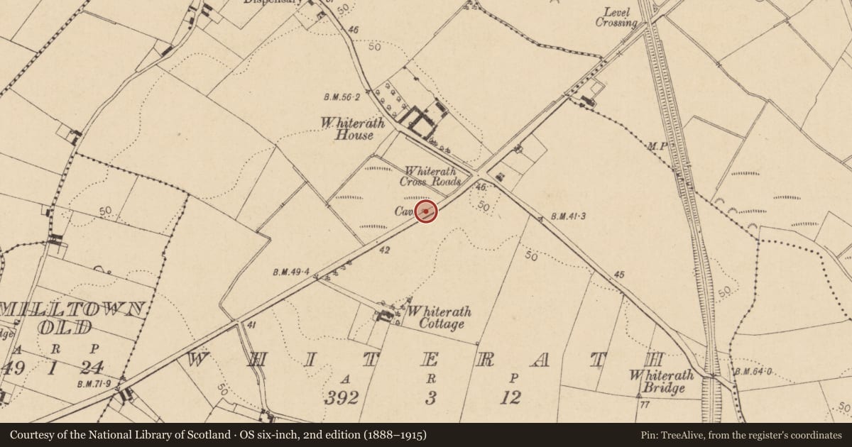 Ordnance Survey six-inch map, 2nd edition (1888–1915) covering the location of Souterrain, Whiterath, County Louth, with a pin at the register's coordinates