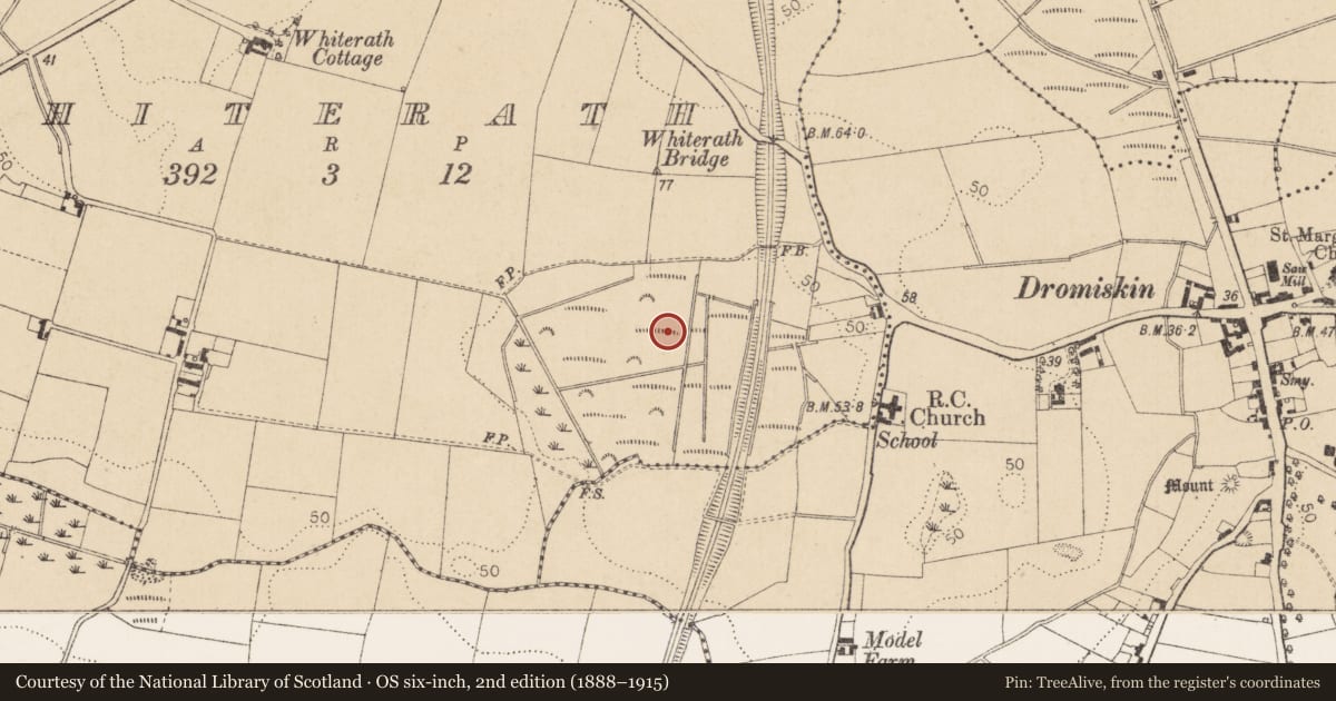 Ordnance Survey six-inch map, 2nd edition (1888–1915) covering the location of Crannog, Whiterath, County Louth, with a pin at the register's coordinates