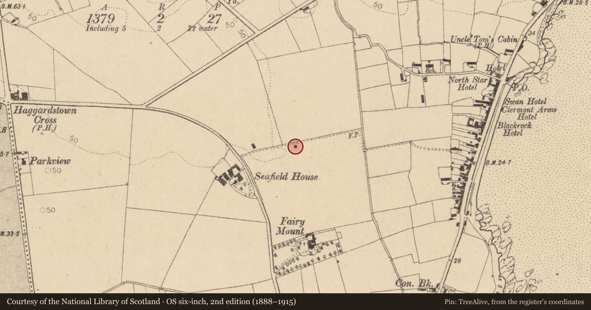 Ordnance Survey six-inch map, 2nd edition (1888–1915) covering the location of Ringfort - rath, Haggardstown, County Louth, with a pin at the register's coordinates