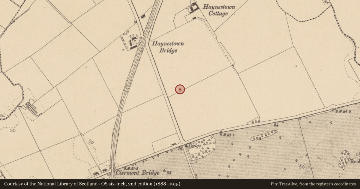 Ordnance Survey six-inch map, 2nd edition (1888–1915) covering the location of Souterrain, Haynestown, County Louth, with a pin at the register's coordinates
