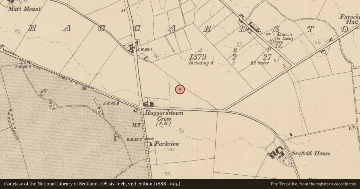 Ordnance Survey six-inch map, 2nd edition (1888–1915) covering the location of Midden, Haggardstown, County Louth, with a pin at the register's coordinates