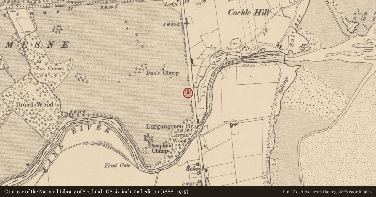 Ordnance Survey six-inch map, 2nd edition (1888–1915) covering the location of Souterrain, Haggardstown, County Louth, with a pin at the register's coordinates