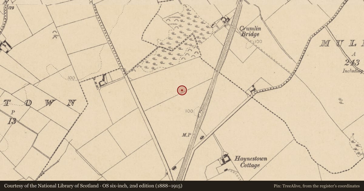 Ordnance Survey six-inch map, 2nd edition (1888–1915) covering the location of Excavation - miscellaneous, Haynestown, County Louth, with a pin at the register's coordinates