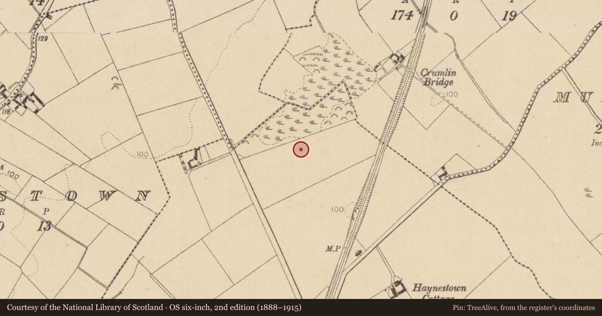 Ordnance Survey six-inch map, 2nd edition (1888–1915) covering the location of Excavation - miscellaneous, Haynestown, County Louth, with a pin at the register's coordinates