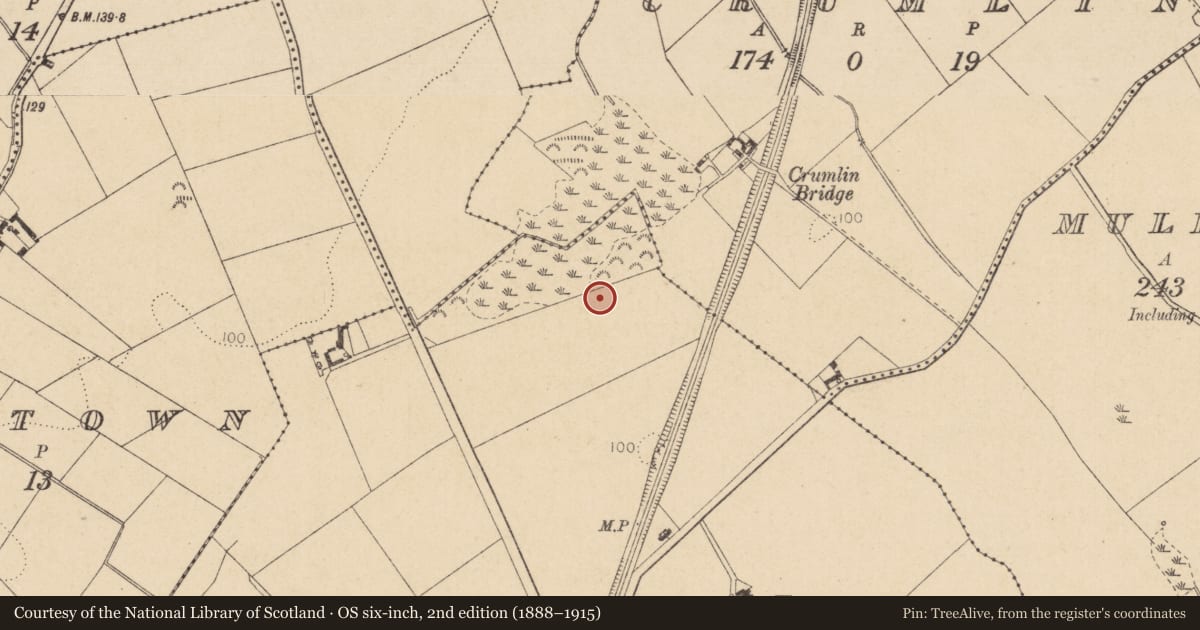 Ordnance Survey six-inch map, 2nd edition (1888–1915) covering the location of Burnt mound, Haynestown, County Louth, with a pin at the register's coordinates