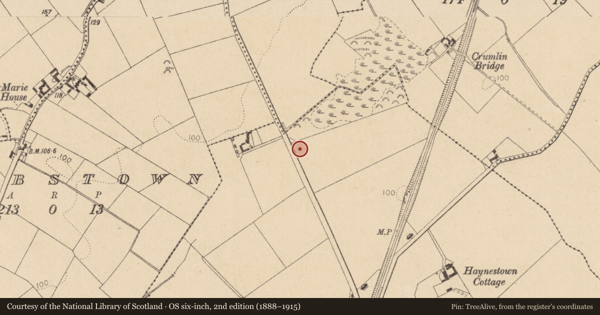 Ordnance Survey six-inch map, 2nd edition (1888–1915) covering the location of Burnt mound, Haynestown, County Louth, with a pin at the register's coordinates