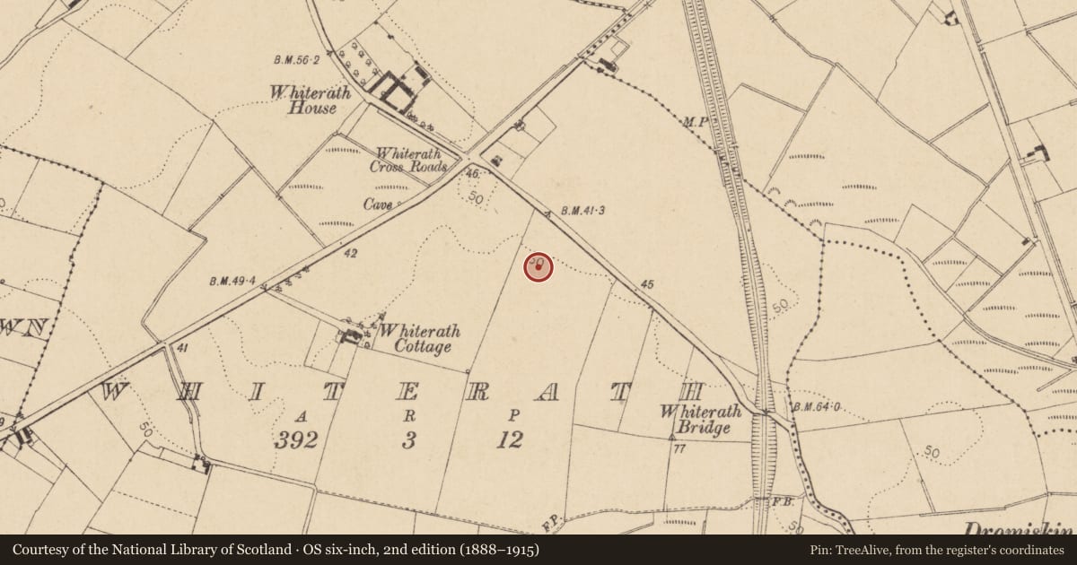 Ordnance Survey six-inch map, 2nd edition (1888–1915) covering the location of Ringfort - rath, Whiterath, County Louth, with a pin at the register's coordinates