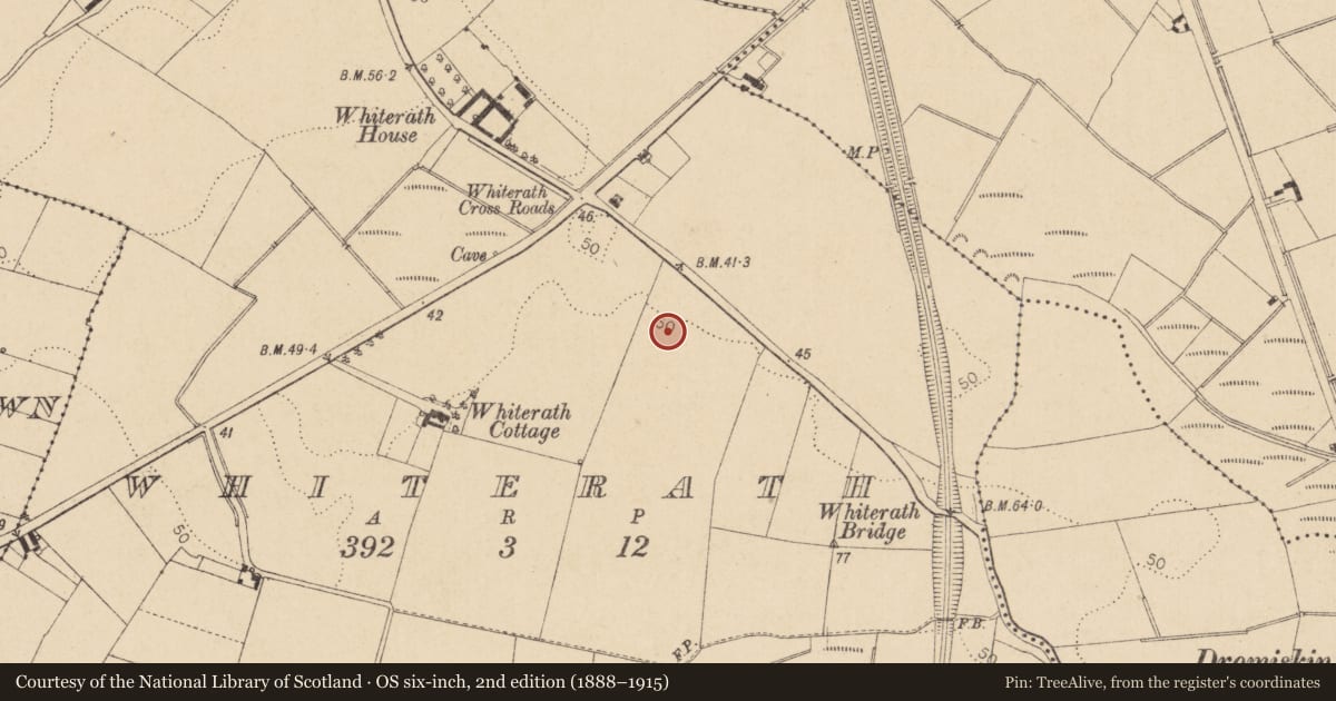 Ordnance Survey six-inch map, 2nd edition (1888–1915) covering the location of Excavation - miscellaneous, Whiterath, County Louth, with a pin at the register's coordinates