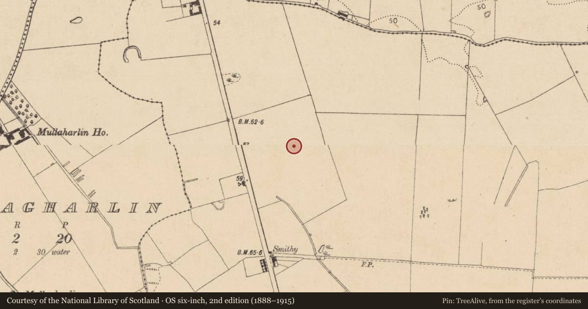 Ordnance Survey six-inch map, 2nd edition (1888–1915) covering the location of Habitation site, Haggardstown, County Louth, with a pin at the register's coordinates