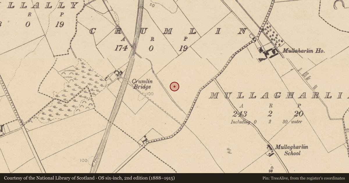 Ordnance Survey six-inch map, 2nd edition (1888–1915) covering the location of Fulacht fia, Crumlin, County Louth, with a pin at the register's coordinates