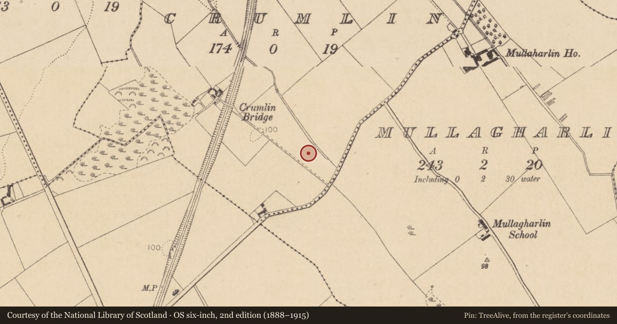 Ordnance Survey six-inch map, 2nd edition (1888–1915) covering the location of Fulacht fia, Crumlin, County Louth, with a pin at the register's coordinates