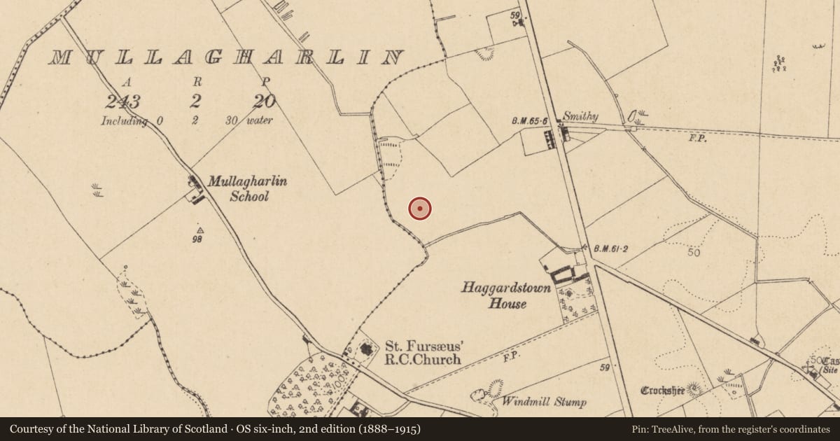 Ordnance Survey six-inch map, 2nd edition (1888–1915) covering the location of Fulacht fia, Haggardstown, County Louth, with a pin at the register's coordinates