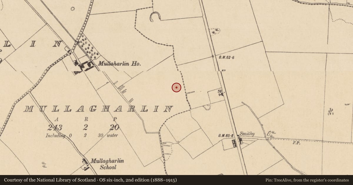 Ordnance Survey six-inch map, 2nd edition (1888–1915) covering the location of Excavation - miscellaneous, Mullagharlin, County Louth, with a pin at the register's coordinates